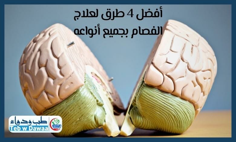 الفصام 002